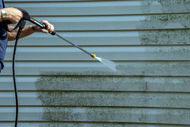 Best Residential Pressure Washing Services  in Wolcottville, IN