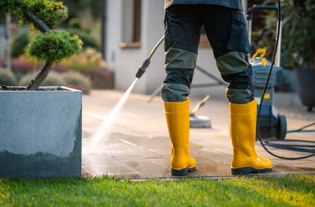 Best Roof Power Washing Services  in Wolcottville, IN